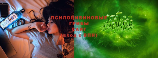 эйфоретик Вяземский