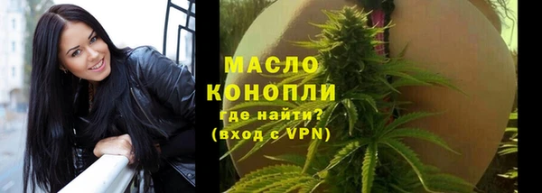 эйфоретик Вяземский