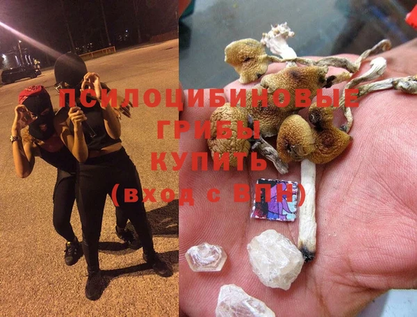 apvp Вязники