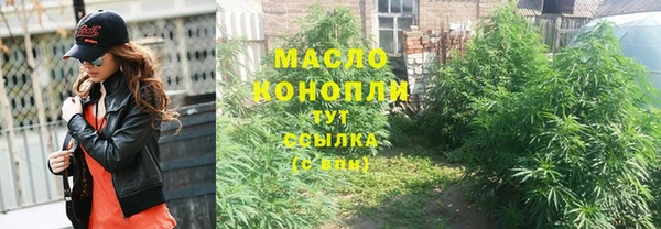 эйфоретик Вяземский