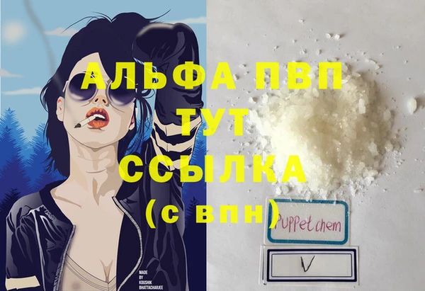 индика Горнозаводск