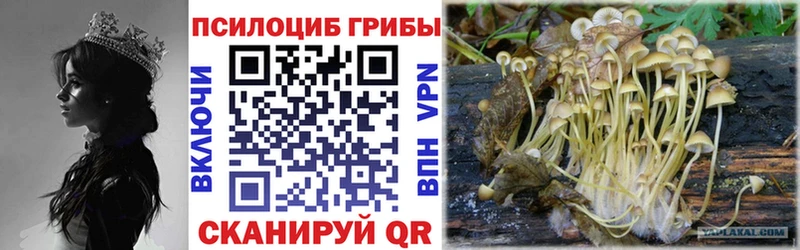 mega зеркало  Комсомольск-на-Амуре  Псилоцибиновые грибы Psilocybine cubensis  цена  